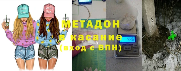 прущие грибы Абаза