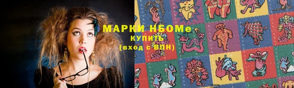 прущие грибы Абаза